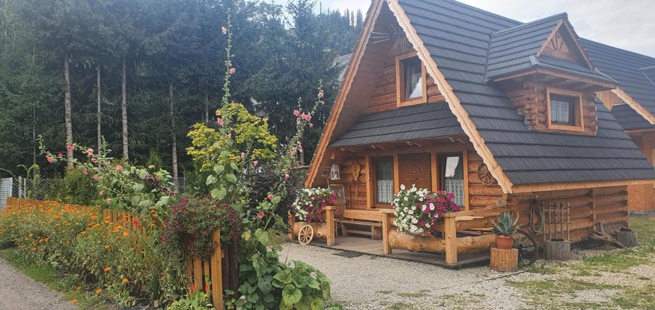 Harenda * Zakopane